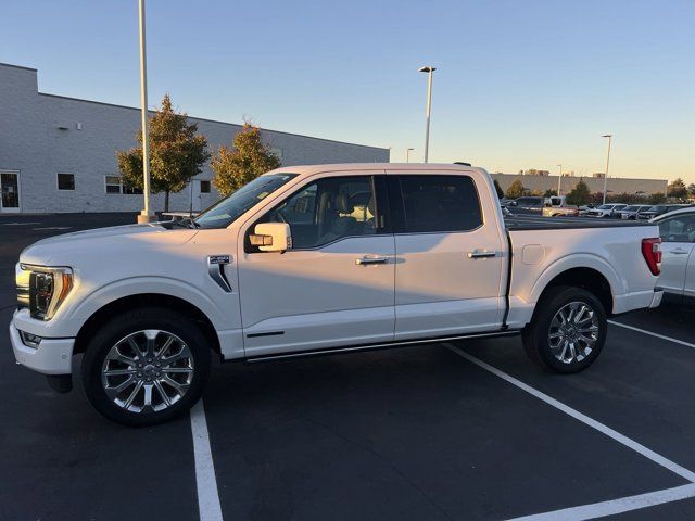 2023 Ford F-150 Limited