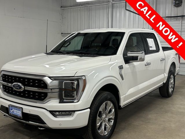 2023 Ford F-150 Platinum