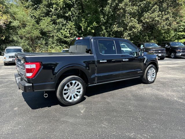 2023 Ford F-150 Limited