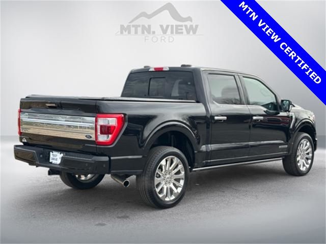 2023 Ford F-150 Limited