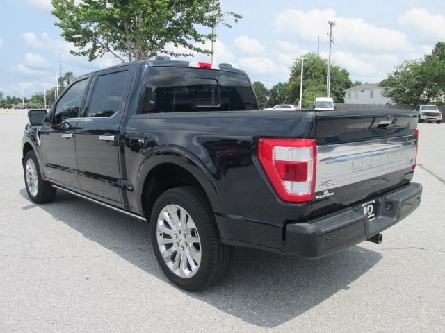 2023 Ford F-150 Limited