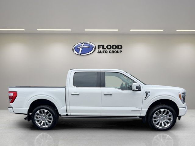 2023 Ford F-150 Limited