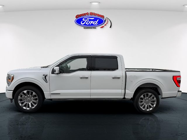 2023 Ford F-150 Limited