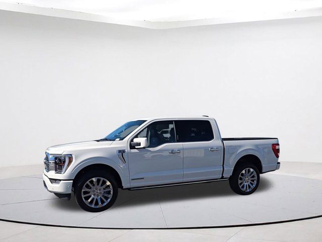 2023 Ford F-150 Limited