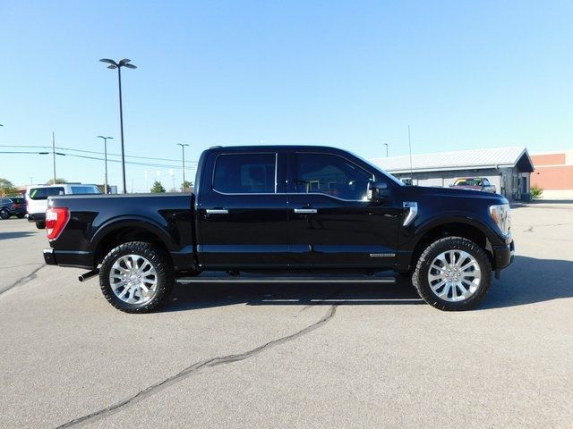 2023 Ford F-150 Limited