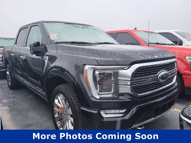 2023 Ford F-150 Limited