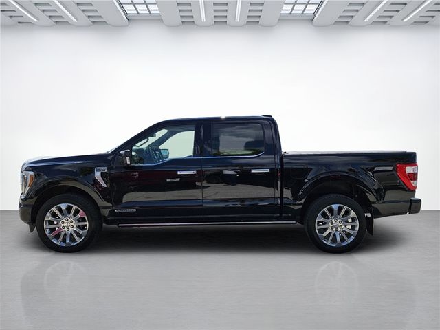 2023 Ford F-150 Limited