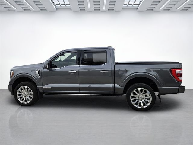 2023 Ford F-150 Limited