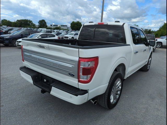 2023 Ford F-150 Limited