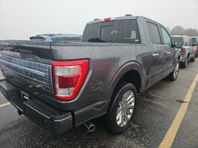 2023 Ford F-150 Limited