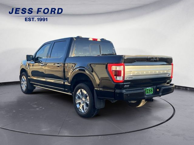 2023 Ford F-150 Platinum