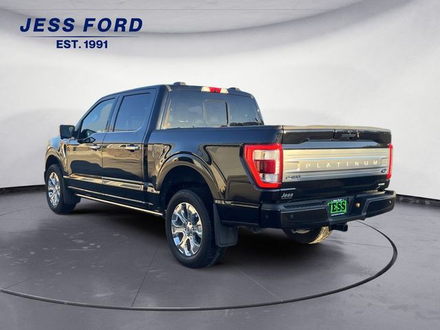 2023 Ford F-150 Platinum