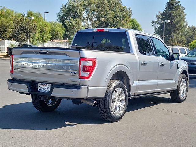 2023 Ford F-150 Platinum