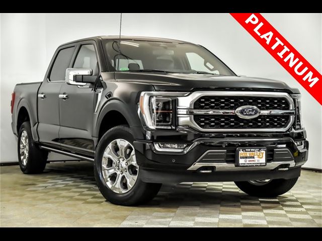 2023 Ford F-150 Platinum