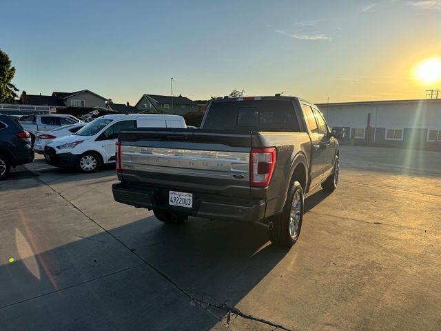 2023 Ford F-150 Platinum