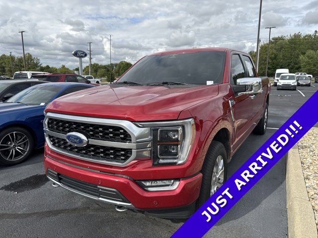 2023 Ford F-150 Platinum