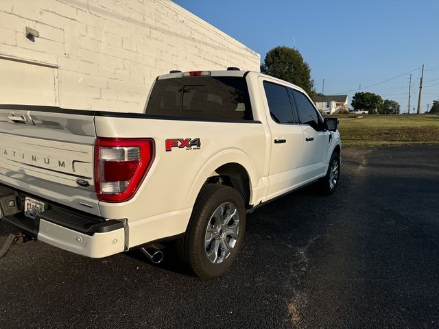 2023 Ford F-150 Platinum