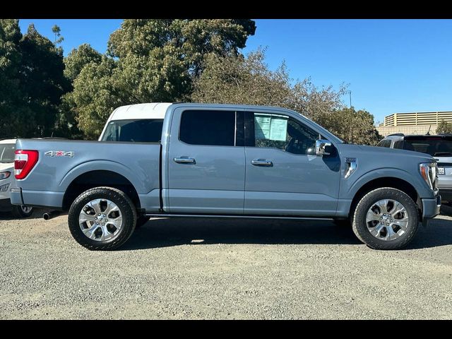 2023 Ford F-150 Platinum