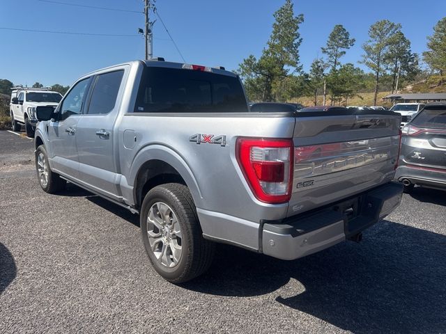 2023 Ford F-150 Platinum