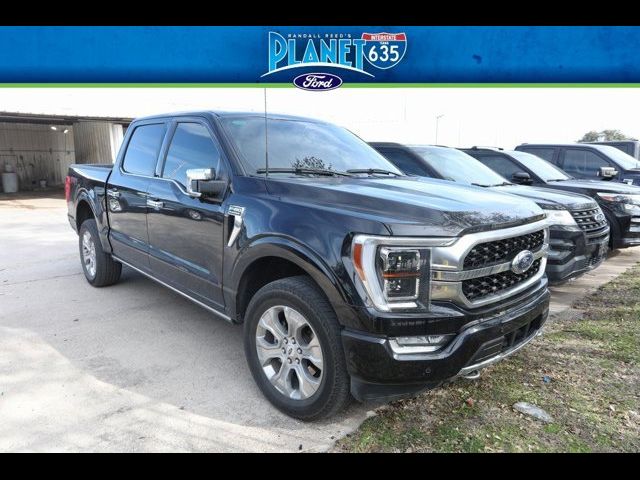 2023 Ford F-150 Platinum