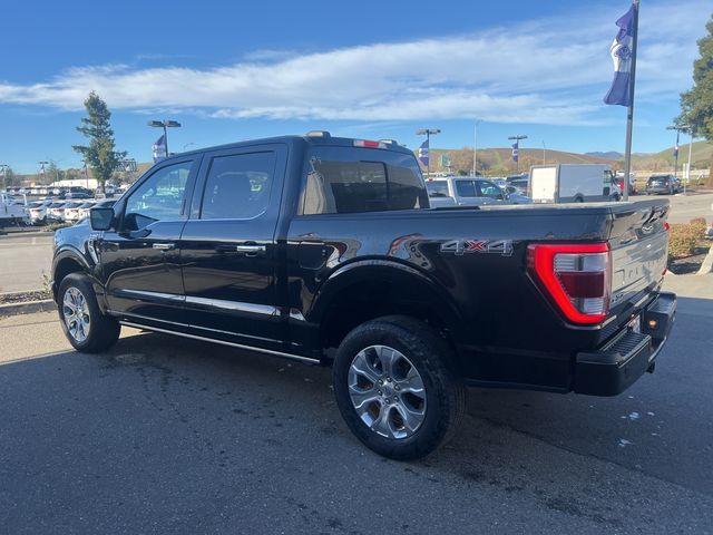 2023 Ford F-150 Platinum