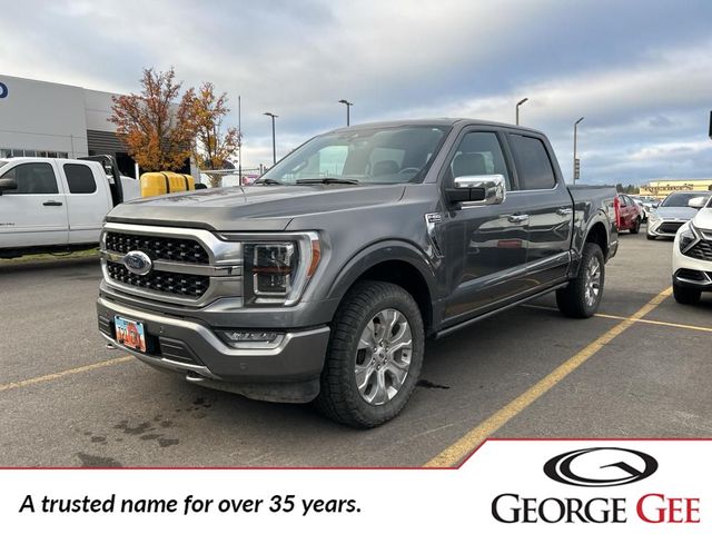 2023 Ford F-150 Platinum