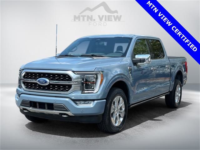 2023 Ford F-150 Platinum