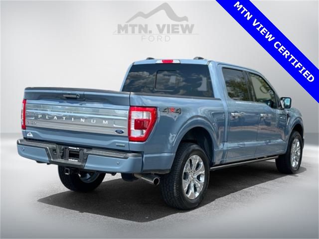 2023 Ford F-150 Platinum