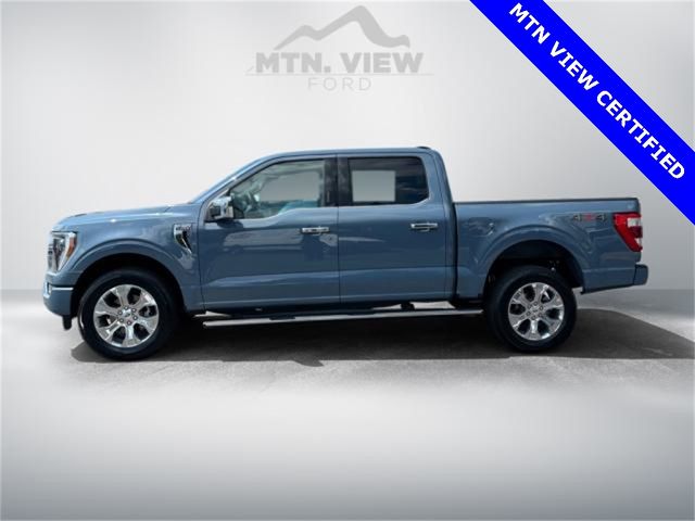 2023 Ford F-150 Platinum