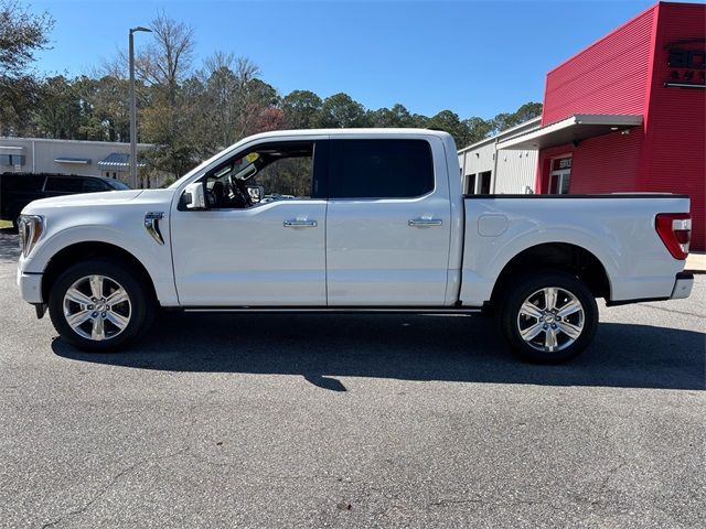 2023 Ford F-150 Platinum