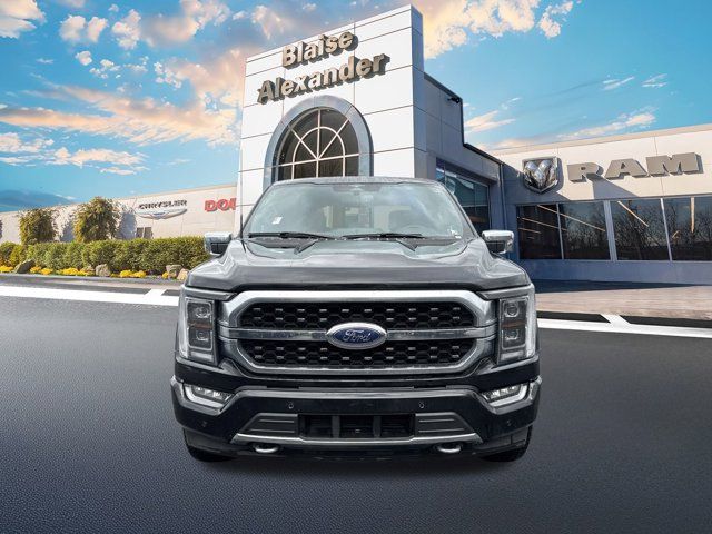 2023 Ford F-150 Platinum