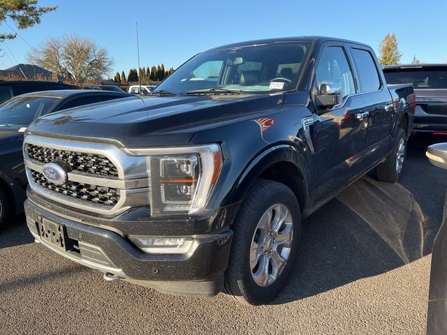 2023 Ford F-150 Platinum