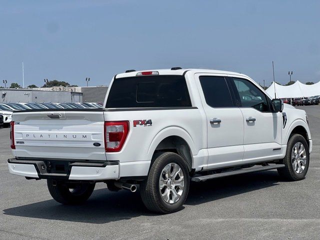 2023 Ford F-150 Platinum