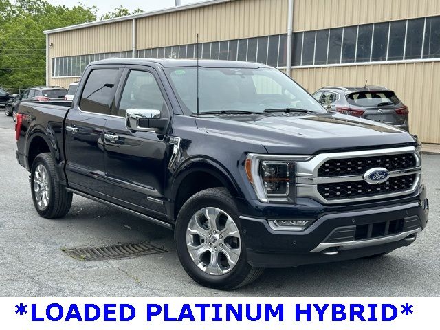 2023 Ford F-150 Platinum