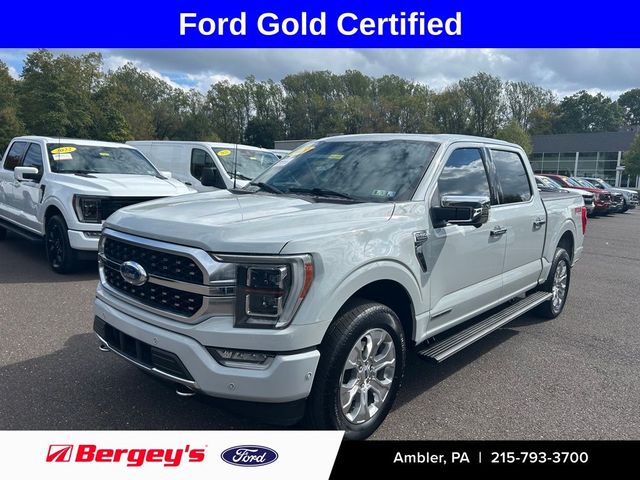 2023 Ford F-150 Platinum