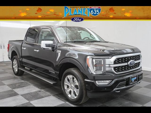 2023 Ford F-150 Platinum