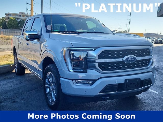 2023 Ford F-150 Platinum