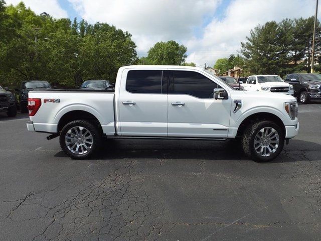 2023 Ford F-150 Platinum