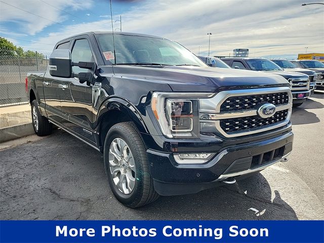 2023 Ford F-150 Platinum