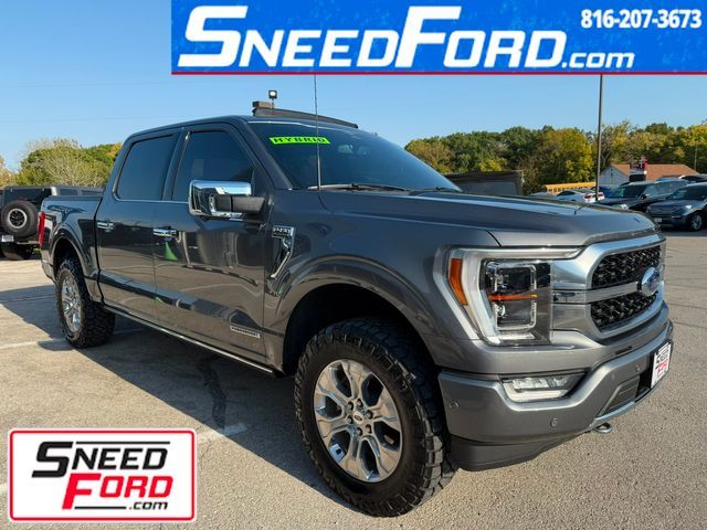 2023 Ford F-150 Platinum