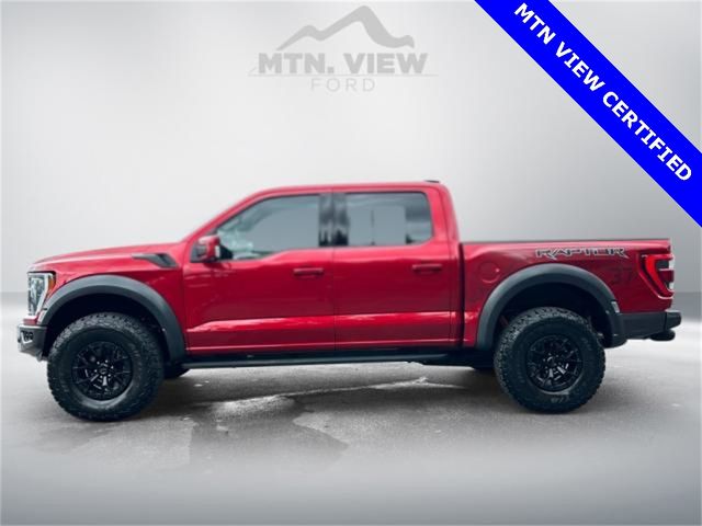 2023 Ford F-150 Raptor