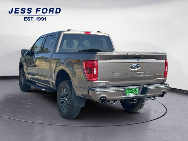 2023 Ford F-150 Tremor