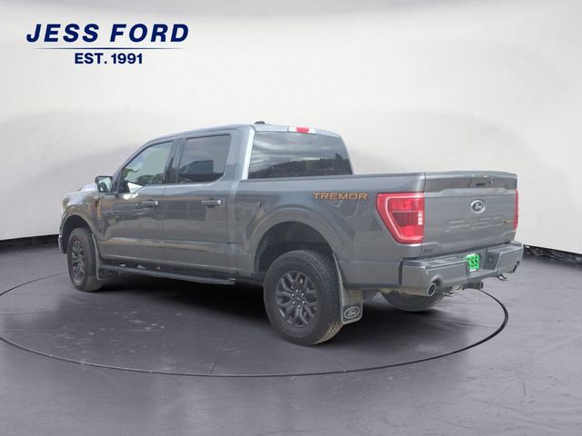 2023 Ford F-150 Tremor