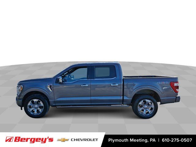 2023 Ford F-150 Platinum