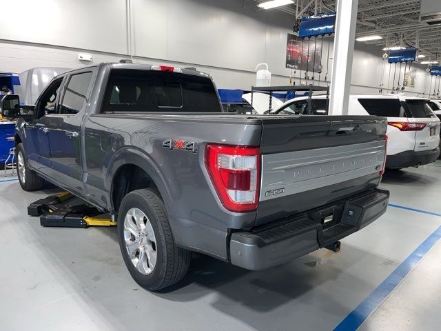 2023 Ford F-150 Platinum