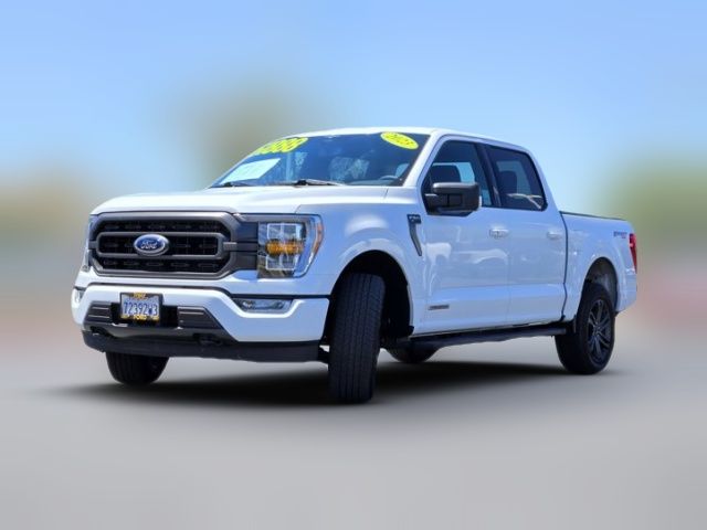 2023 Ford F-150 XL