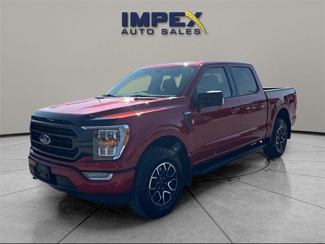 2023 Ford F-150 XLT