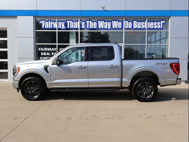 2023 Ford F-150 XLT