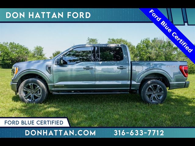 2023 Ford F-150 XLT