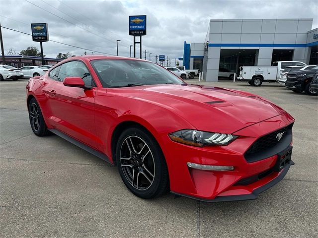 2023 Ford Mustang EcoBoost